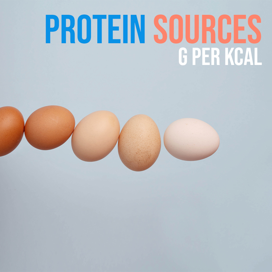 Quelles sont les sources de protéines les moins caloriques?